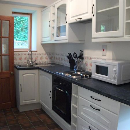 Bryn Cottage Llandderfel Exterior foto